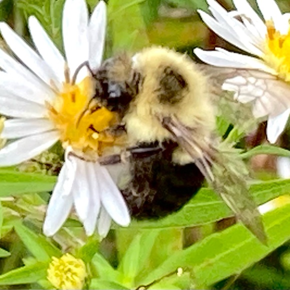 Meet your Posher, Kim - Picture 4 of 16